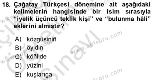 XIV-XV. Yüzyıllar Türk Dili Dersi 2020 - 2021 Yılı Yaz Okulu Sınavı 18. Soru