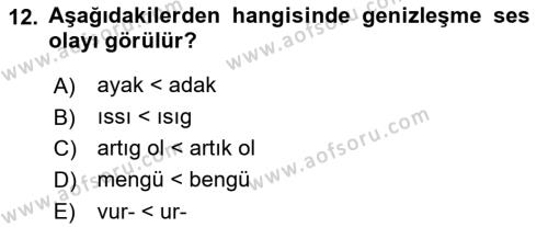 XIV-XV. Yüzyıllar Türk Dili Dersi 2021 - 2022 Yılı (Vize) Ara Sınavı 12. Soru
