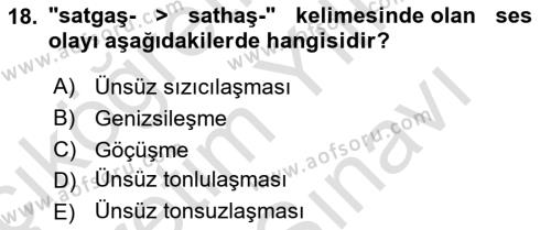 XIV-XV. Yüzyıllar Türk Dili Dersi 2021 - 2022 Yılı (Vize) Ara Sınavı 18. Soru