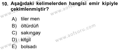 XIV-XV. Yüzyıllar Türk Dili Dersi 2021 - 2022 Yılı (Final) Dönem Sonu Sınavı 10. Soru