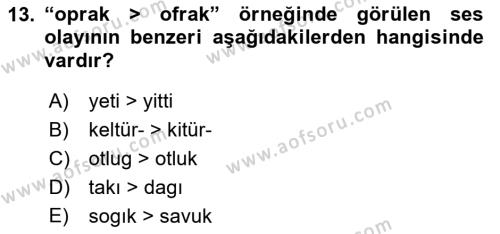 XIV-XV. Yüzyıllar Türk Dili Dersi 2021 - 2022 Yılı (Final) Dönem Sonu Sınavı 13. Soru