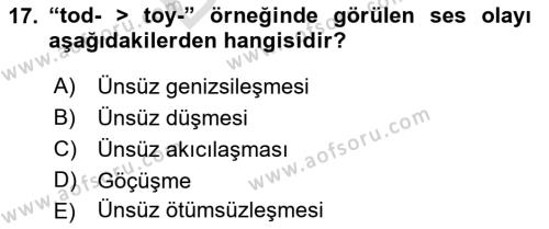 XIV-XV. Yüzyıllar Türk Dili Dersi 2021 - 2022 Yılı (Final) Dönem Sonu Sınavı 17. Soru