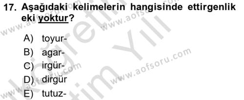 XIV-XV. Yüzyıllar Türk Dili Dersi 2021 - 2022 Yılı Yaz Okulu Sınavı 17. Soru