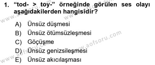 XIV-XV. Yüzyıllar Türk Dili Dersi 2022 - 2023 Yılı Yaz Okulu Sınavı 1. Soru