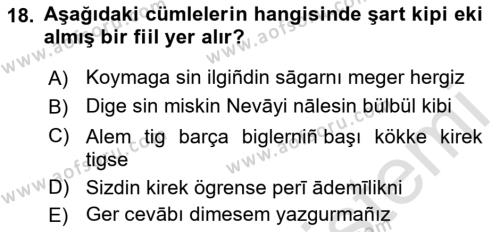 XIV-XV. Yüzyıllar Türk Dili Dersi 2022 - 2023 Yılı Yaz Okulu Sınavı 18. Soru