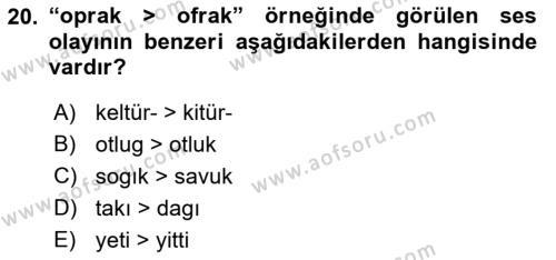 XIV-XV. Yüzyıllar Türk Dili Dersi 2022 - 2023 Yılı Yaz Okulu Sınavı 20. Soru