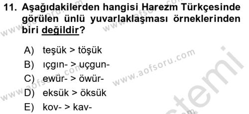 XIV-XV. Yüzyıllar Türk Dili Dersi 2023 - 2024 Yılı (Vize) Ara Sınavı 11. Soru