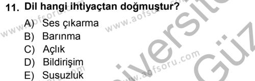 Çağdaş Türk Yazı Dilleri 1 Dersi 2012 - 2013 Yılı (Vize) Ara Sınavı 11. Soru