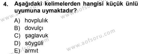Çağdaş Türk Yazı Dilleri 1 Dersi 2012 - 2013 Yılı (Final) Dönem Sonu Sınavı 4. Soru