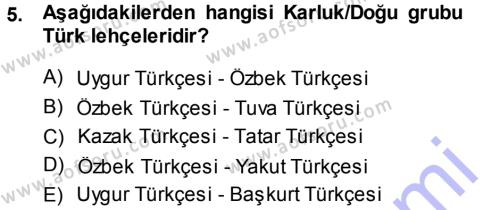 Çağdaş Türk Yazı Dilleri 1 Dersi 2013 - 2014 Yılı (Vize) Ara Sınavı 5. Soru