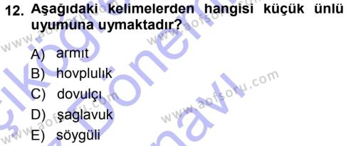 Çağdaş Türk Yazı Dilleri 1 Dersi 2013 - 2014 Yılı (Final) Dönem Sonu Sınavı 12. Soru