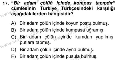 Çağdaş Türk Yazı Dilleri 1 Dersi 2013 - 2014 Yılı (Final) Dönem Sonu Sınavı 17. Soru