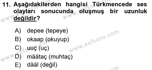 Çağdaş Türk Yazı Dilleri 1 Dersi 2018 - 2019 Yılı 3 Ders Sınavı 11. Soru