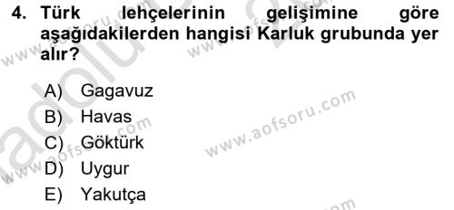 Çağdaş Türk Yazı Dilleri 1 Dersi 2018 - 2019 Yılı 3 Ders Sınavı 4. Soru