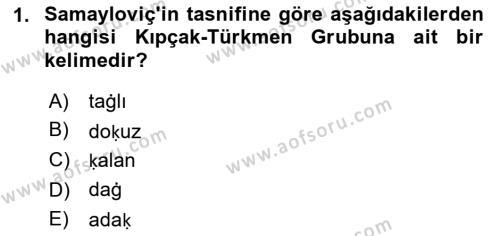 Çağdaş Türk Yazı Dilleri 1 Dersi 2018 - 2019 Yılı (Vize) Ara Sınavı 1. Soru