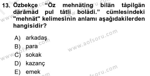 Çağdaş Türk Yazı Dilleri 1 Dersi 2018 - 2019 Yılı (Final) Dönem Sonu Sınavı 13. Soru