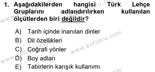 Çağdaş Türk Yazı Dilleri 1 Dersi 2018 - 2019 Yılı Yaz Okulu Sınavı 1. Soru