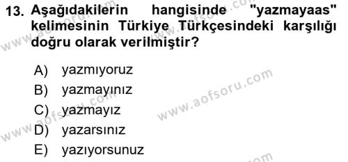 Çağdaş Türk Yazı Dilleri 1 Dersi 2018 - 2019 Yılı Yaz Okulu Sınavı 13. Soru