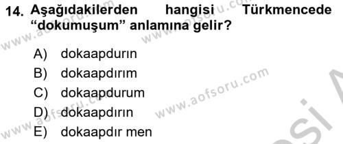 Çağdaş Türk Yazı Dilleri 1 Dersi 2018 - 2019 Yılı Yaz Okulu Sınavı 14. Soru