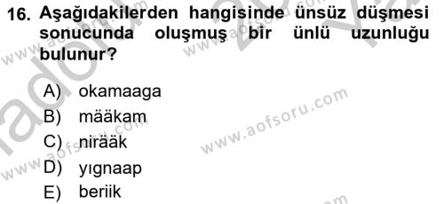 Çağdaş Türk Yazı Dilleri 1 Dersi 2018 - 2019 Yılı Yaz Okulu Sınavı 16. Soru