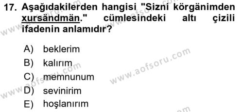 Çağdaş Türk Yazı Dilleri 1 Dersi 2018 - 2019 Yılı Yaz Okulu Sınavı 17. Soru