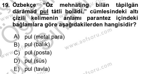 Çağdaş Türk Yazı Dilleri 1 Dersi 2018 - 2019 Yılı Yaz Okulu Sınavı 19. Soru