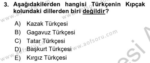 Çağdaş Türk Yazı Dilleri 1 Dersi 2018 - 2019 Yılı Yaz Okulu Sınavı 3. Soru