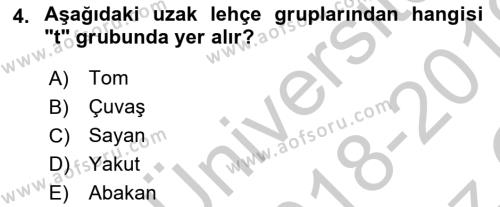 Çağdaş Türk Yazı Dilleri 1 Dersi 2018 - 2019 Yılı Yaz Okulu Sınavı 4. Soru