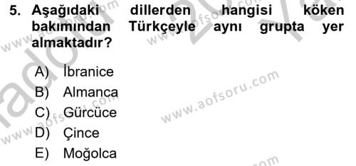 Çağdaş Türk Yazı Dilleri 1 Dersi 2018 - 2019 Yılı Yaz Okulu Sınavı 5. Soru