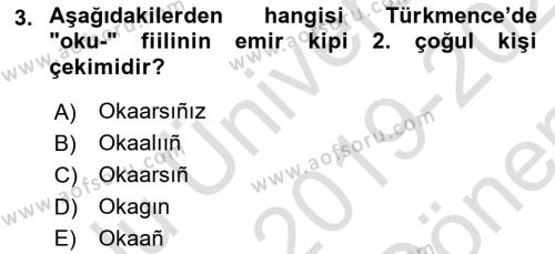 Çağdaş Türk Yazı Dilleri 1 Dersi 2019 - 2020 Yılı (Final) Dönem Sonu Sınavı 3. Soru