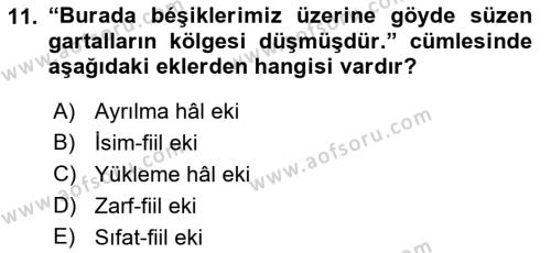 Çağdaş Türk Yazı Dilleri 1 Dersi 2020 - 2021 Yılı Yaz Okulu Sınavı 11. Soru