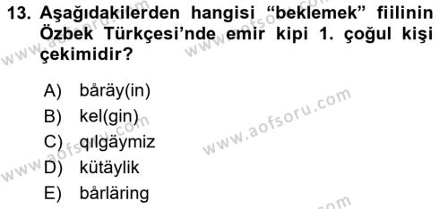 Çağdaş Türk Yazı Dilleri 1 Dersi 2020 - 2021 Yılı Yaz Okulu Sınavı 13. Soru