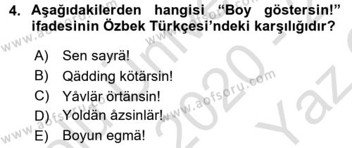 Çağdaş Türk Yazı Dilleri 1 Dersi 2020 - 2021 Yılı Yaz Okulu Sınavı 4. Soru