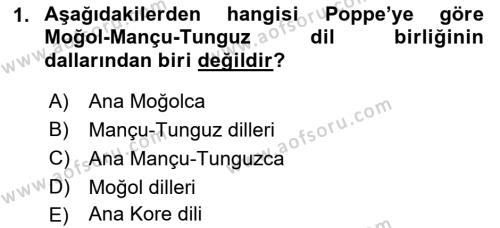 Çağdaş Türk Yazı Dilleri 1 Dersi 2021 - 2022 Yılı Yaz Okulu Sınavı 1. Soru