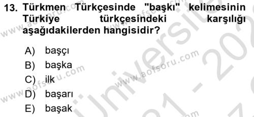 Çağdaş Türk Yazı Dilleri 1 Dersi 2021 - 2022 Yılı Yaz Okulu Sınavı 13. Soru