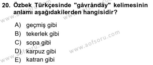 Çağdaş Türk Yazı Dilleri 1 Dersi 2021 - 2022 Yılı Yaz Okulu Sınavı 20. Soru