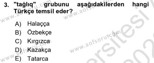 Çağdaş Türk Yazı Dilleri 1 Dersi 2021 - 2022 Yılı Yaz Okulu Sınavı 3. Soru