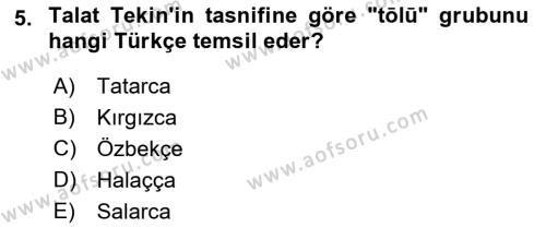 Çağdaş Türk Yazı Dilleri 1 Dersi 2021 - 2022 Yılı Yaz Okulu Sınavı 5. Soru