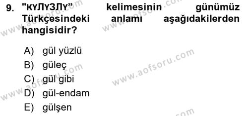 Çağdaş Türk Yazı Dilleri 1 Dersi 2021 - 2022 Yılı Yaz Okulu Sınavı 9. Soru