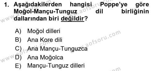 Çağdaş Türk Yazı Dilleri 1 Dersi 2022 - 2023 Yılı (Vize) Ara Sınavı 1. Soru