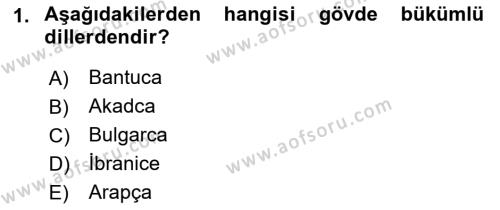 Çağdaş Türk Yazı Dilleri 1 Dersi 2022 - 2023 Yılı (Final) Dönem Sonu Sınavı 1. Soru