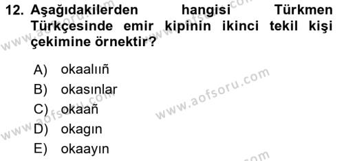 Çağdaş Türk Yazı Dilleri 1 Dersi 2022 - 2023 Yılı (Final) Dönem Sonu Sınavı 12. Soru