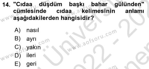 Çağdaş Türk Yazı Dilleri 1 Dersi 2022 - 2023 Yılı (Final) Dönem Sonu Sınavı 14. Soru