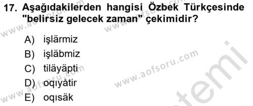 Çağdaş Türk Yazı Dilleri 1 Dersi 2022 - 2023 Yılı (Final) Dönem Sonu Sınavı 17. Soru