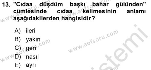 Çağdaş Türk Yazı Dilleri 1 Dersi 2022 - 2023 Yılı Yaz Okulu Sınavı 13. Soru