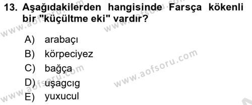 Çağdaş Türk Yazı Dilleri 1 Dersi 2023 - 2024 Yılı (Vize) Ara Sınavı 13. Soru