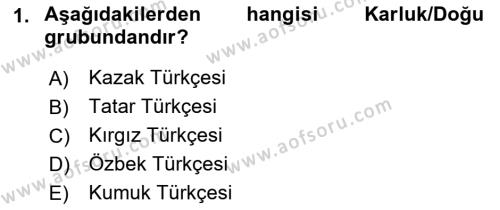 Çağdaş Türk Yazı Dilleri 1 Dersi 2023 - 2024 Yılı (Final) Dönem Sonu Sınavı 1. Soru