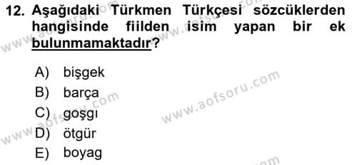 Çağdaş Türk Yazı Dilleri 1 Dersi 2023 - 2024 Yılı (Final) Dönem Sonu Sınavı 12. Soru