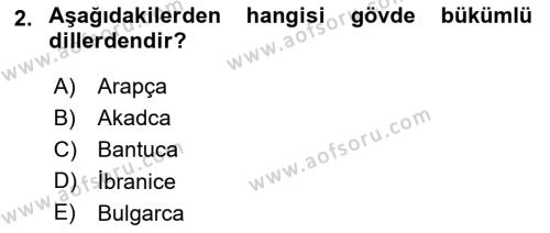 Çağdaş Türk Yazı Dilleri 1 Dersi 2023 - 2024 Yılı (Final) Dönem Sonu Sınavı 2. Soru