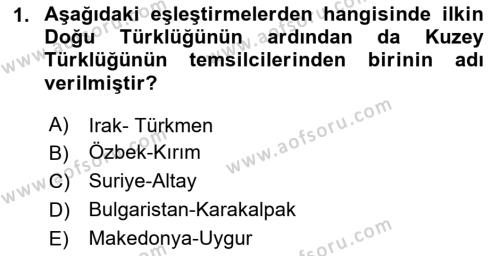 Çağdaş Türk Yazı Dilleri 1 Dersi 2023 - 2024 Yılı Yaz Okulu Sınavı 1. Soru